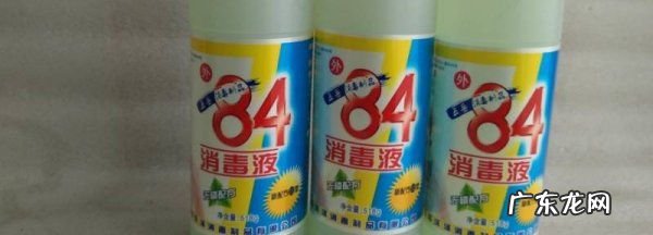 84能杀死鼻涕虫,84能杀死鼻涕虫