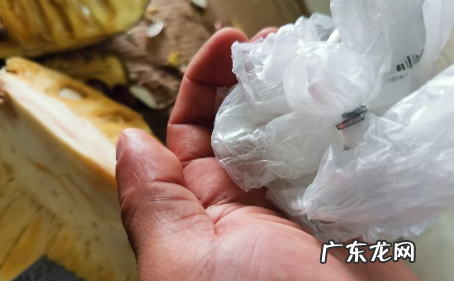 菠萝蜜手上粘怎么去掉,菠萝蜜的汁液粘在手上怎么去掉