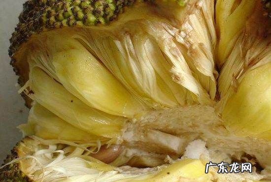 菠萝蜜手上粘怎么去掉,菠萝蜜的汁液粘在手上怎么去掉