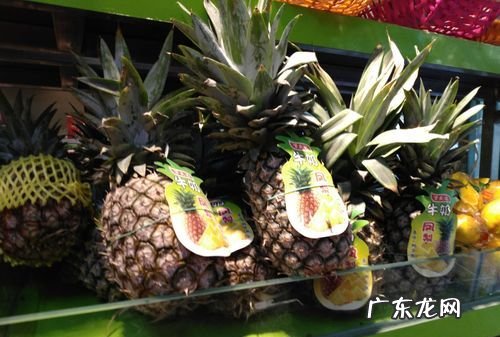牛奶加菠萝有毒,菠萝不能和什么一起吃