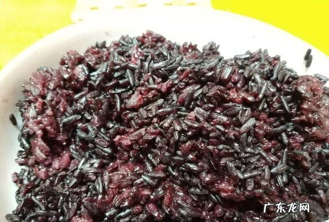 纯蒸紫米饭可以,蒸燕麦米饭的做法大全窍门
