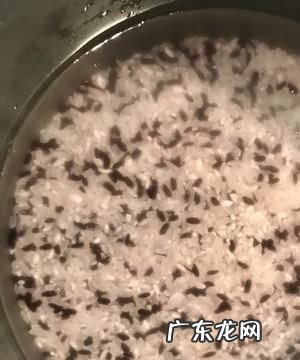 纯蒸紫米饭可以,蒸燕麦米饭的做法大全窍门