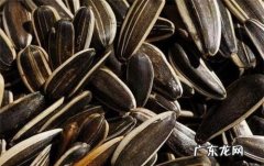 瓜子是怎么样形成的,葵花籽比西瓜子多了什么结构