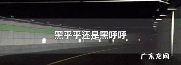 黑呼呼还是黑乎乎,黑乎乎还是黑呼呼的拼音