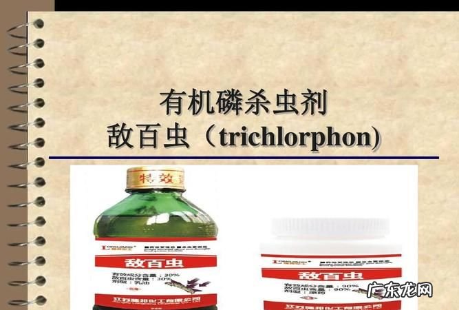 为什么杀虫剂可以瞬间杀虫,为什么杀虫剂杀不死虫子