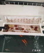 养鱼滤材怎么用,小米滤芯养鱼过滤