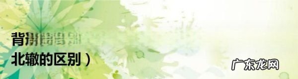 背道而驰南辕北辙区别,南辕北辙背道而驰大相径庭截然相反