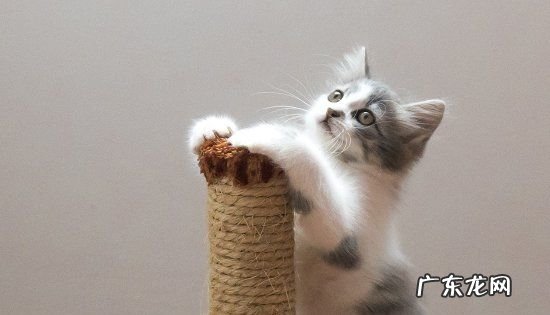 喝84消毒液后的症状,84消毒液喝了会怎么样