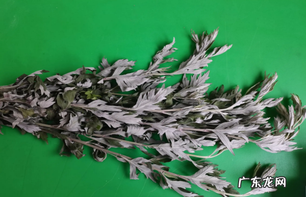艾草点着能熏蚊子,烧艾叶能熏死蚊子