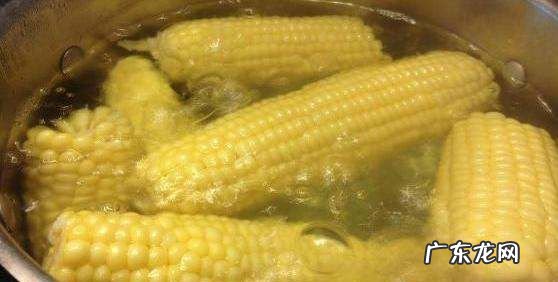 奶块玉米汁怎么得,玉米汁用生玉米粒还是熟玉米粒