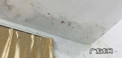 房间很潮湿怎么除湿,房间潮气大潮湿怎么办