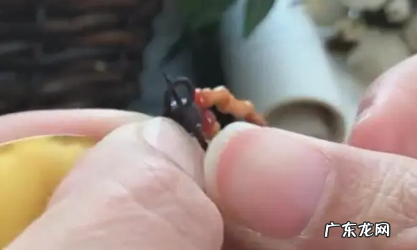 怎么拴吊坠,项链吊坠怎么绑