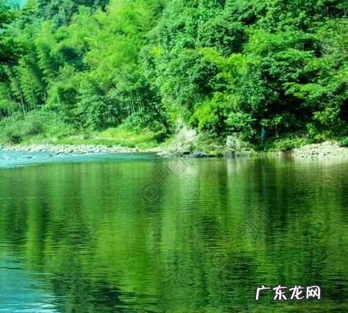 溪水为什么是绿色的,人影给溪水染绿了的绿色是什么意思