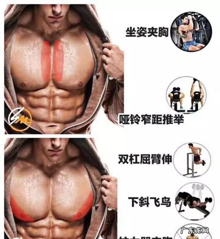 练胸的动作有哪些,练胸肌几个动作