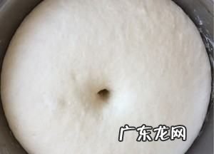 酵母没有溶解怎么补救,做馒头的时候酵母没有融化怎么办