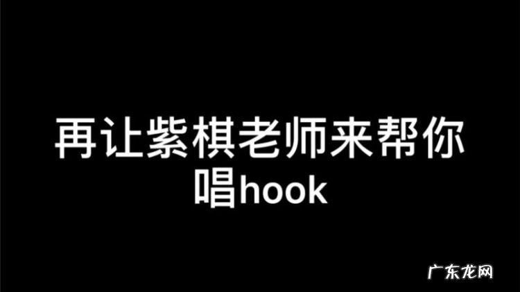帮唱hook什么意思,rap中的verse和hook是什么意思
