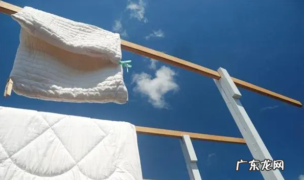 粉螨和尘螨的区别,屋尘螨和粉尘螨是什么