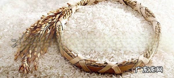 大米冷冻一年后能吃,大米面粉能放冰柜里冷冻