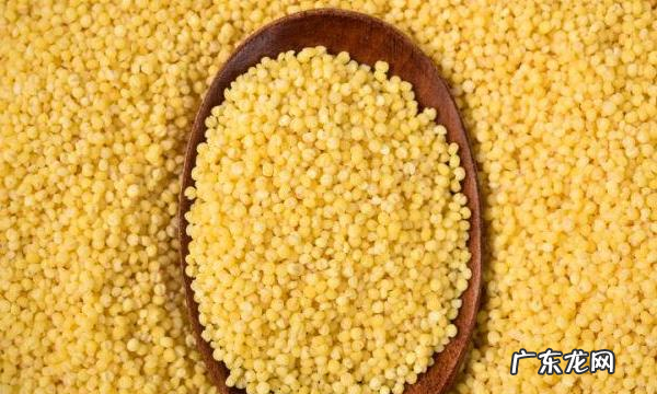 大米为什么会生虫子,大米为什么会生虫