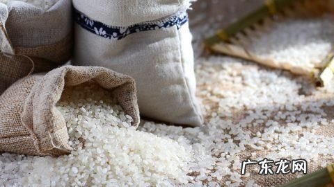 干的大米是什么垃圾,变了质的米饭属于什么垃圾