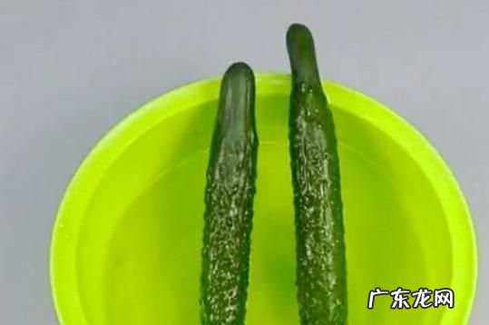 黄瓜吃不完怎么保存,黄瓜吃不完怎么保存到冬天