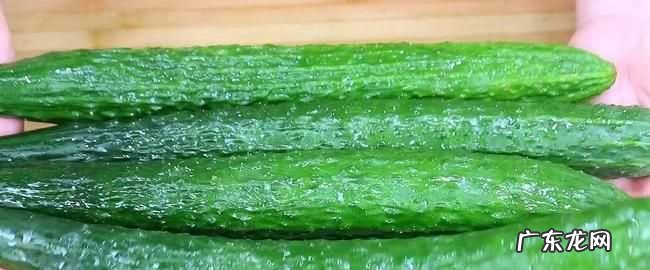 黄瓜吃不完怎么保存,黄瓜吃不完怎么保存到冬天