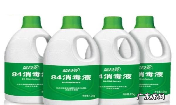 84消毒液对鸽子有害,消毒液给鸽舍消毒会对鸽子有什么不好的影响