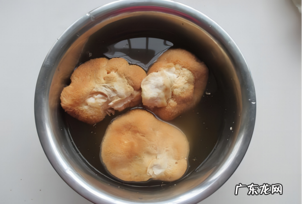 干猴头菇一般泡多久,猴头菇泡发方法