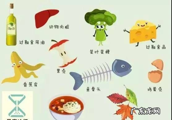 肉类是什么垃圾,肉碎骨属于什么垃圾分类
