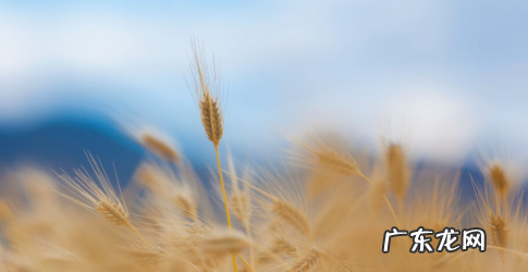 届时和到时有什么区别,届时的意思