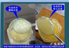 蜂巢蜜和蜂蜜有什么区别,蜂蜜蜂巢蜜有什么好功效