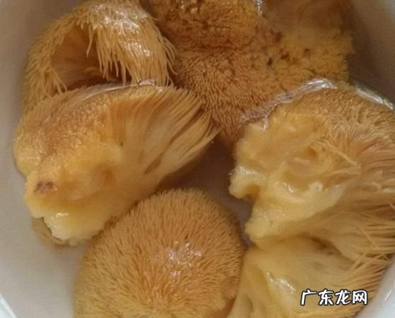 猴头菇怎么泡发才不苦,鲜猴头菇怎么处理不苦