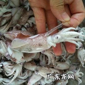 韭菜苔怎么做,韭菜苔怎么做好吃法大全