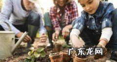 多肉的茎烂了怎么办,多肉烂了怎么办 多肉有点烂掉了怎么补救