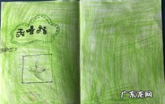 前环衬和后环衬是什么,环衬的介绍