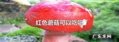 红色蘑菇可以吃,红菌可以吃