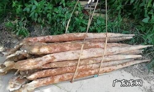 山药发红是怎么回事,山药一边削皮一边变黑能吃