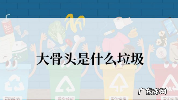 骨头是属于厨余垃圾,骨头算厨余垃圾