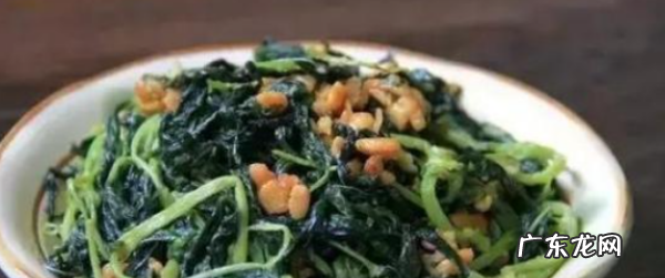潮汕麻叶是什么植物,这植物有具体学名是什么