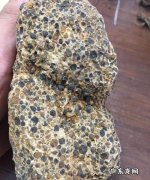 什么是碳质球粒陨石,球粒陨石特征