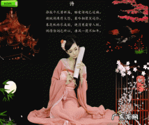 八雅八俗都是什么,八雅八俗都是什么意思