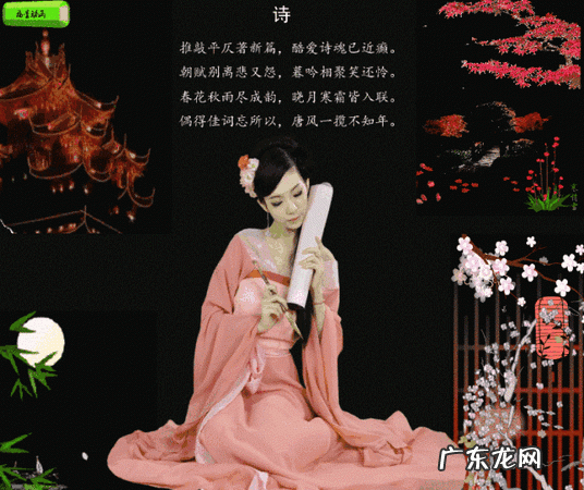 八雅八俗都是什么,八雅八俗都是什么意思