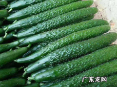 黄瓜放冰箱里怎么保存,黄瓜的保存最佳方法如下