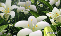 花粉怎么洗掉妙招,花粉能洗掉