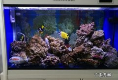 海水缸可以不用活石,太行石能放海缸