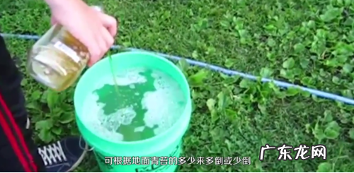 水泥地青苔最有效清除,水泥地上的青苔怎么清除