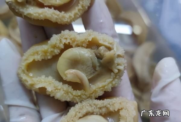 鲍鱼干怎么泡发,鲍鱼干泡发的正确方法