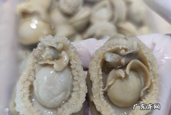 鲍鱼干怎么泡发,鲍鱼干泡发的正确方法