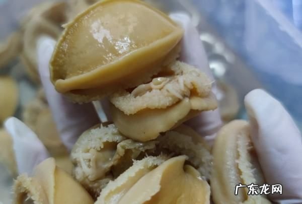鲍鱼干怎么泡发,鲍鱼干泡发的正确方法