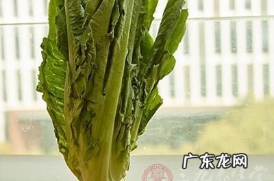 蒜蓉油麦菜怎么做好吃,蒜蓉油麦菜怎么做